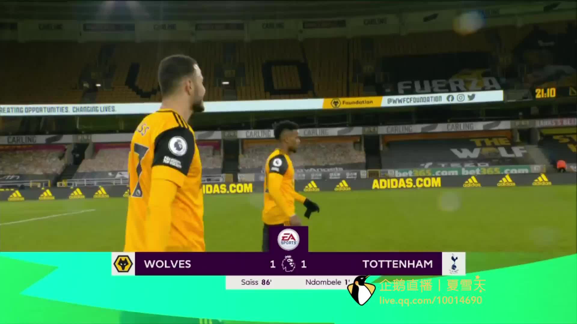 活力的阵容 活力的阵容